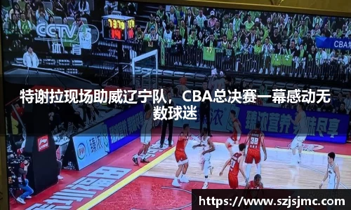 特谢拉现场助威辽宁队，CBA总决赛一幕感动无数球迷