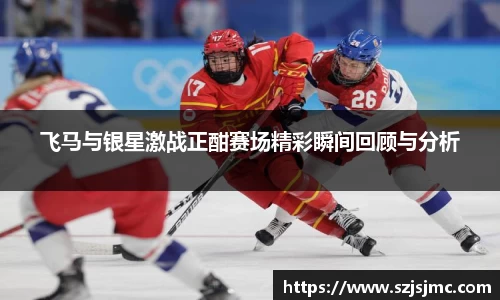 飞马与银星激战正酣赛场精彩瞬间回顾与分析