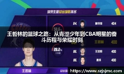 王哲林的篮球之路：从青涩少年到CBA明星的奋斗历程与荣耀时刻