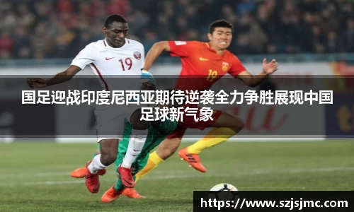 国足迎战印度尼西亚期待逆袭全力争胜展现中国足球新气象
